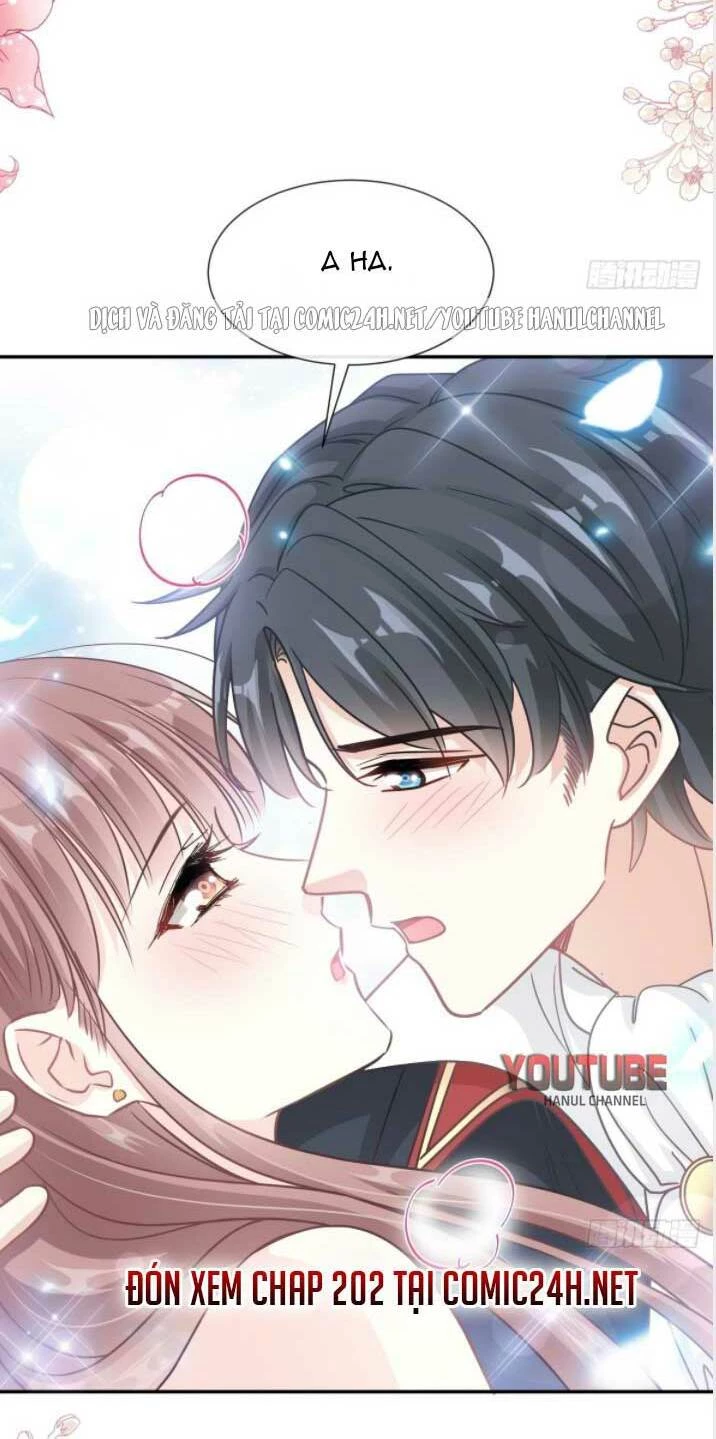 Bá Đạo Tổng Tài Nhẹ Nhàng Yêu Chapter 201.2 - 17