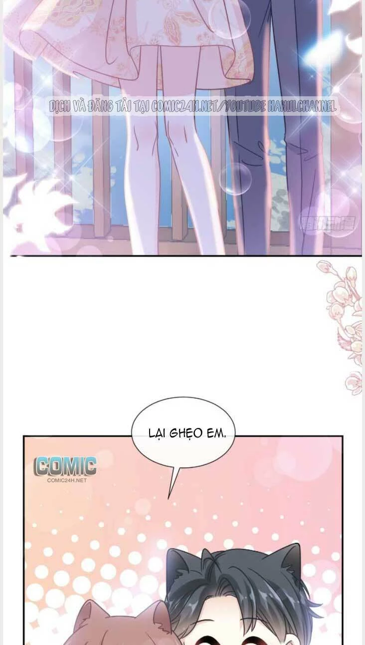Bá Đạo Tổng Tài Nhẹ Nhàng Yêu Chapter 203 - 14