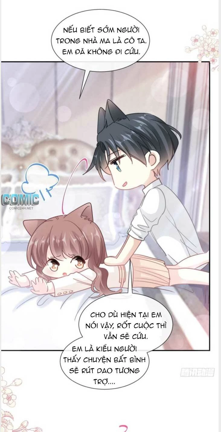 Bá Đạo Tổng Tài Nhẹ Nhàng Yêu Chapter 204 - 5