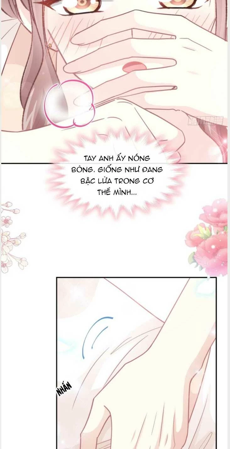 Bá Đạo Tổng Tài Nhẹ Nhàng Yêu Chapter 204 - 11
