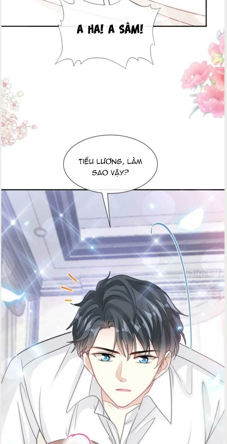 Bá Đạo Tổng Tài Nhẹ Nhàng Yêu Chapter 204 - 13