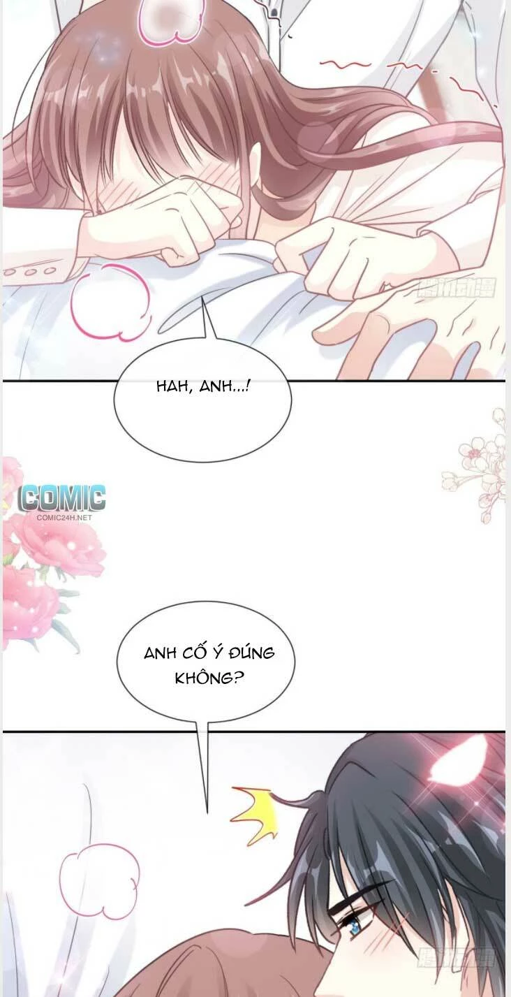 Bá Đạo Tổng Tài Nhẹ Nhàng Yêu Chapter 204 - 14