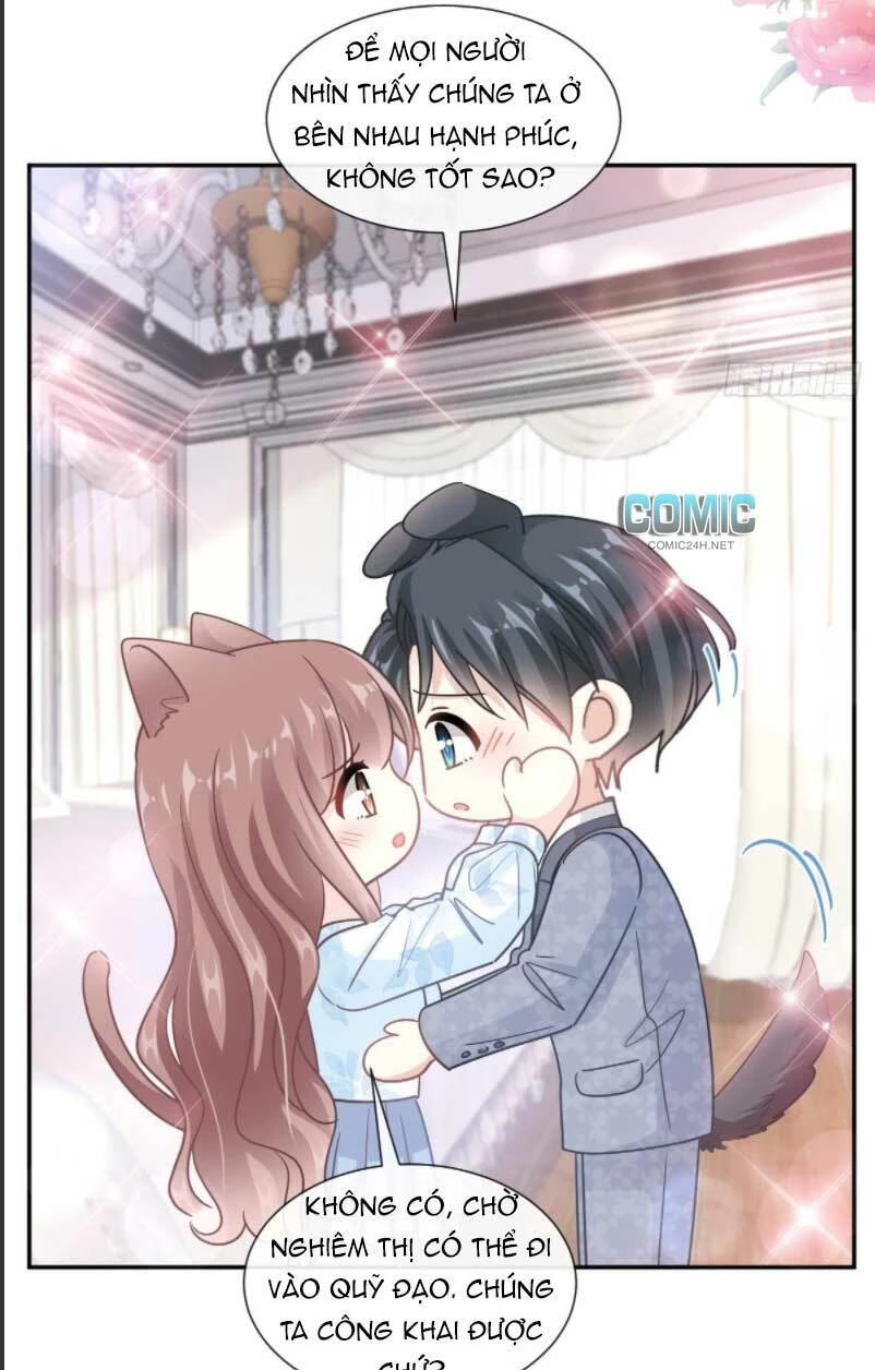 Bá Đạo Tổng Tài Nhẹ Nhàng Yêu Chapter 205 - 4