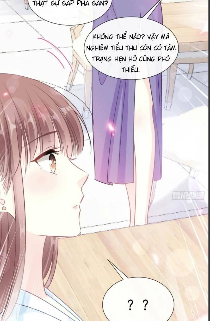 Bá Đạo Tổng Tài Nhẹ Nhàng Yêu Chapter 206 - 8