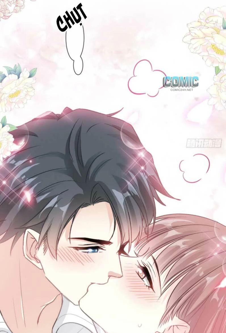 Bá Đạo Tổng Tài Nhẹ Nhàng Yêu Chapter 206 - 41
