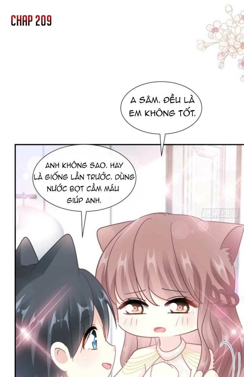 Bá Đạo Tổng Tài Nhẹ Nhàng Yêu Chapter 209 - 2