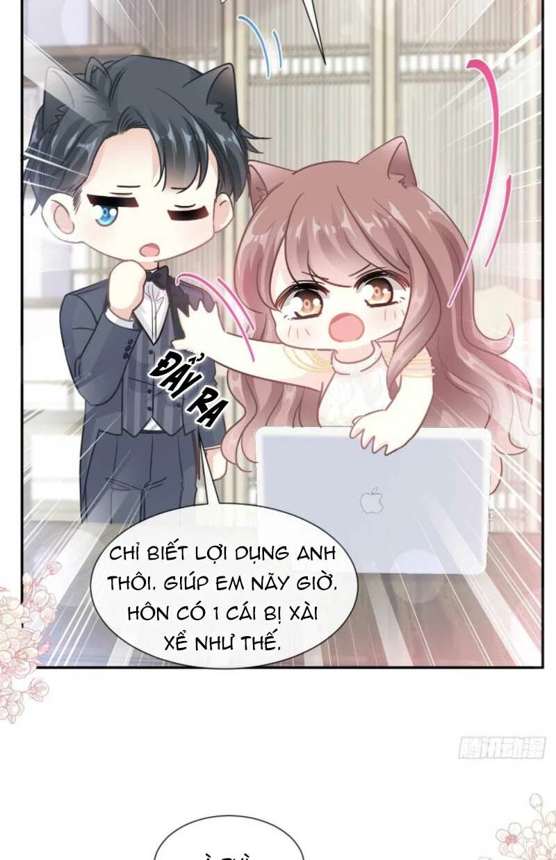 Bá Đạo Tổng Tài Nhẹ Nhàng Yêu Chapter 209 - 17