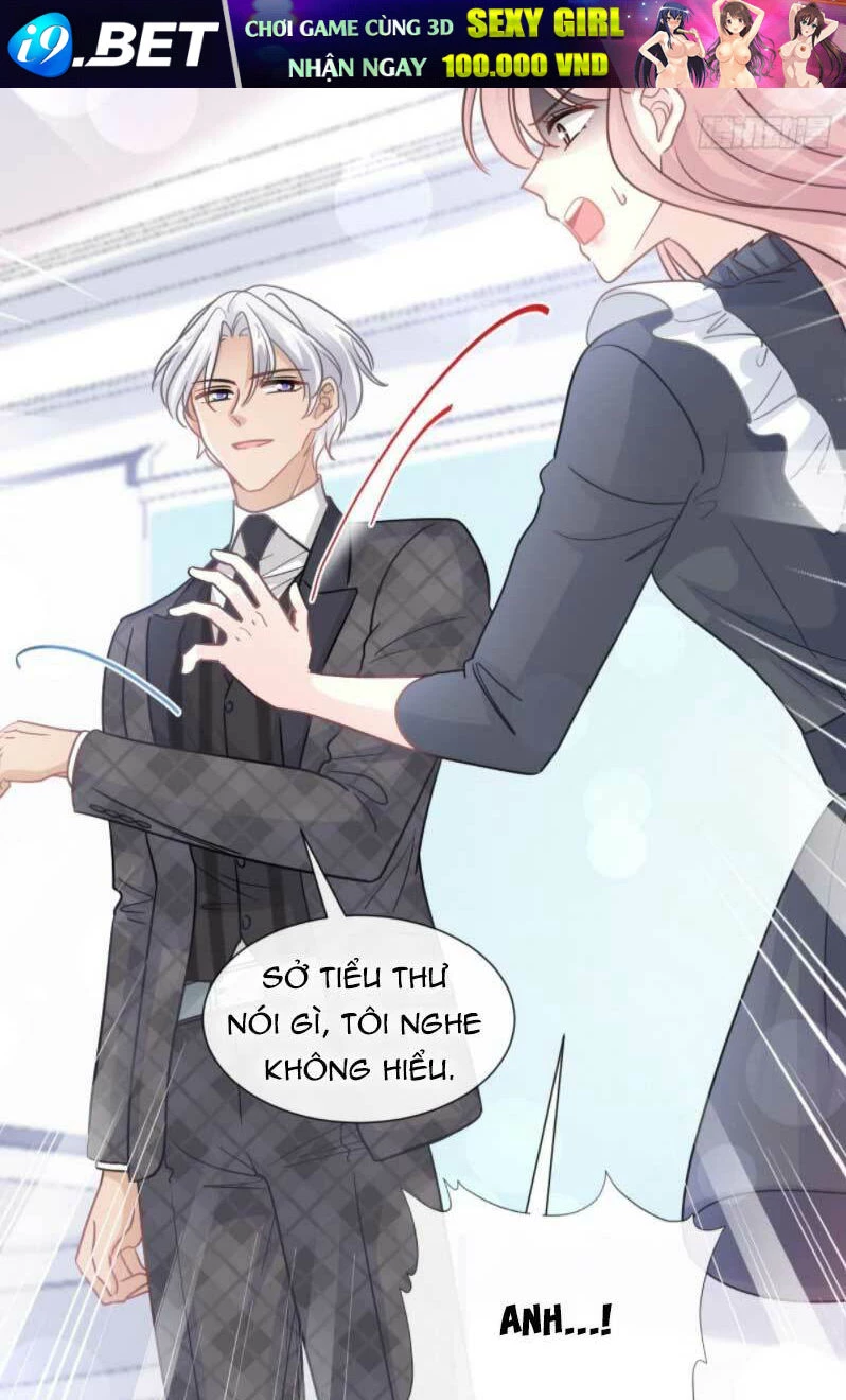 Bá Đạo Tổng Tài Nhẹ Nhàng Yêu Chapter 210 - 4