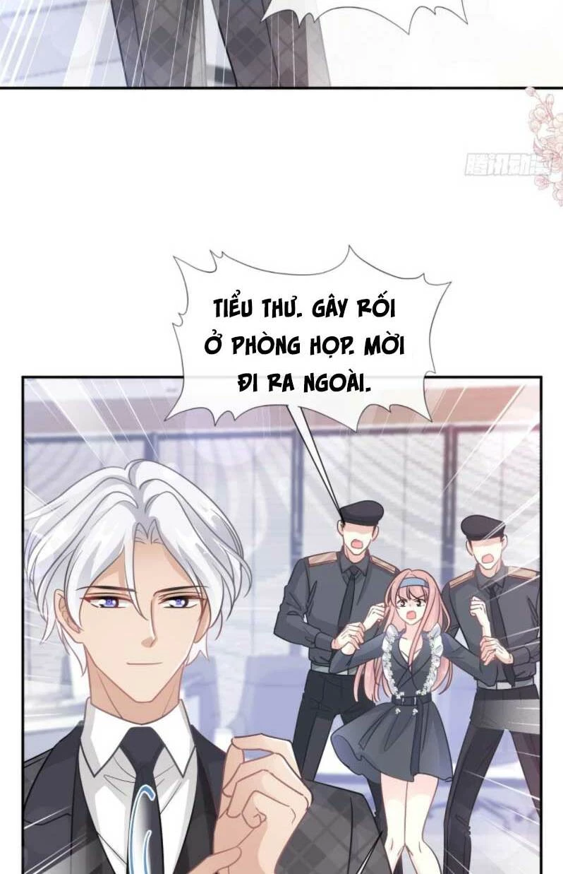Bá Đạo Tổng Tài Nhẹ Nhàng Yêu Chapter 210 - 5