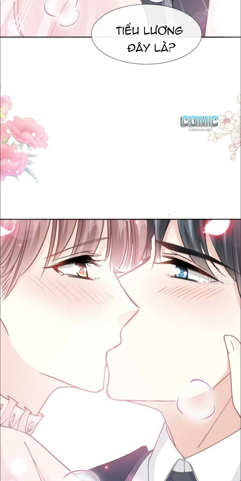 Bá Đạo Tổng Tài Nhẹ Nhàng Yêu Chapter 210 - 30