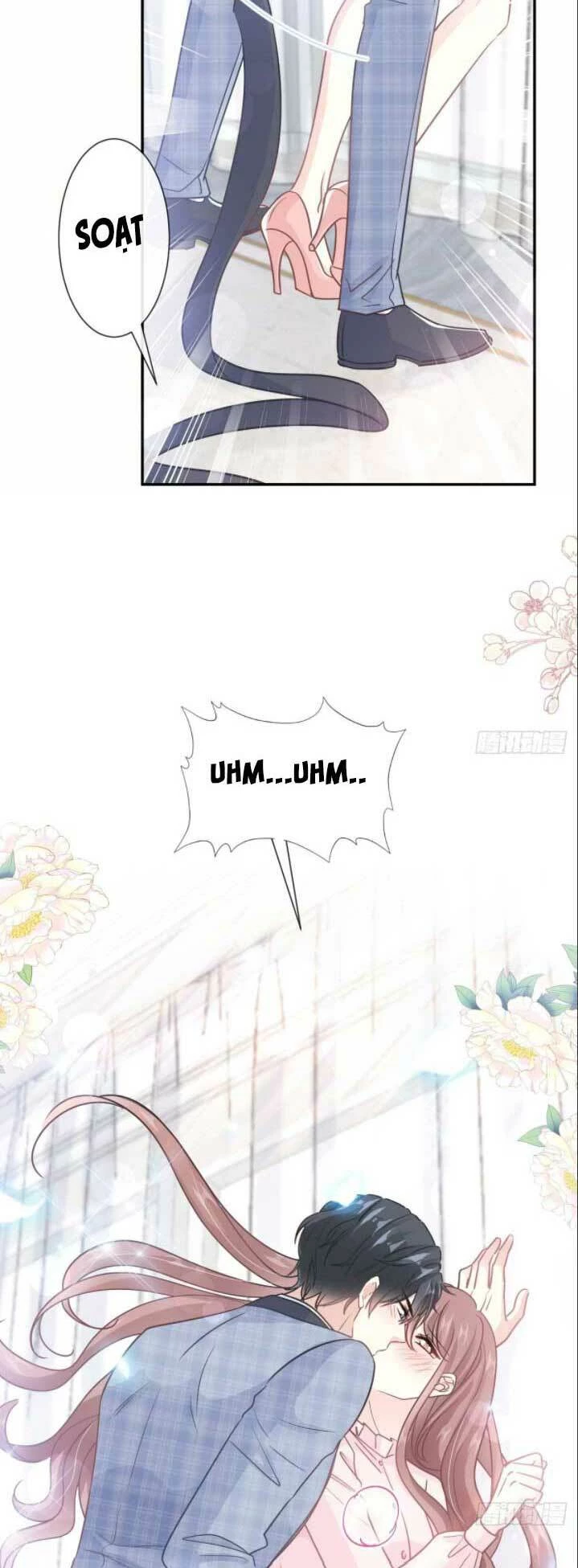 Bá Đạo Tổng Tài Nhẹ Nhàng Yêu Chapter 211 - 10