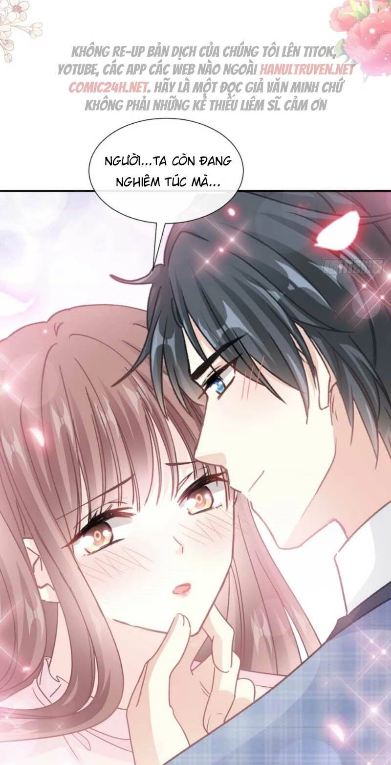 Bá Đạo Tổng Tài Nhẹ Nhàng Yêu Chapter 212 - 23