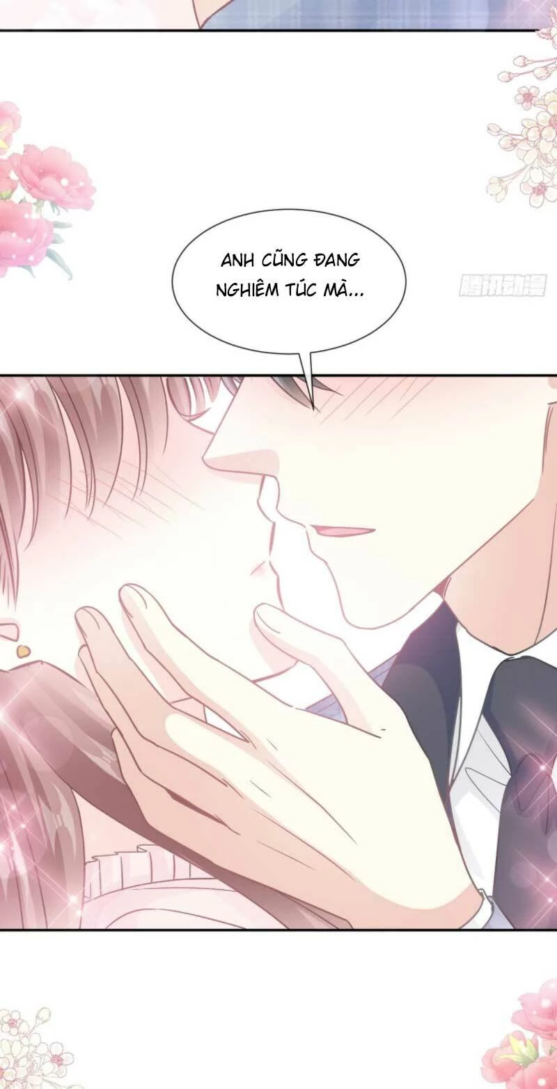 Bá Đạo Tổng Tài Nhẹ Nhàng Yêu Chapter 212 - 24
