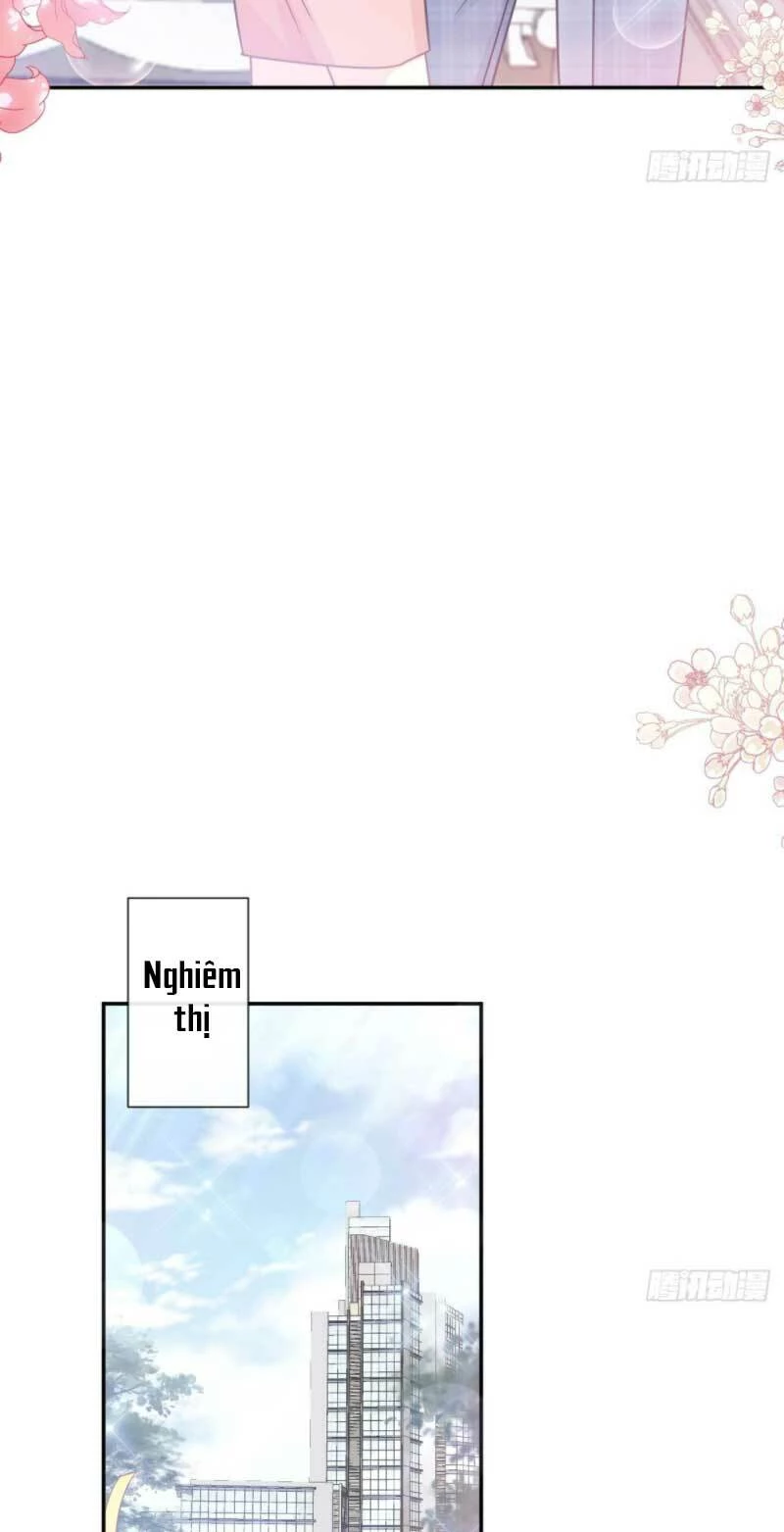 Bá Đạo Tổng Tài Nhẹ Nhàng Yêu Chapter 212 - 28