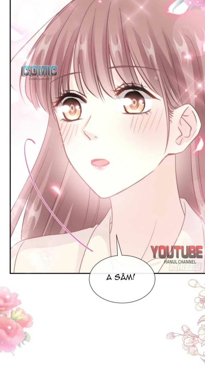 Bá Đạo Tổng Tài Nhẹ Nhàng Yêu Chapter 213 - 19