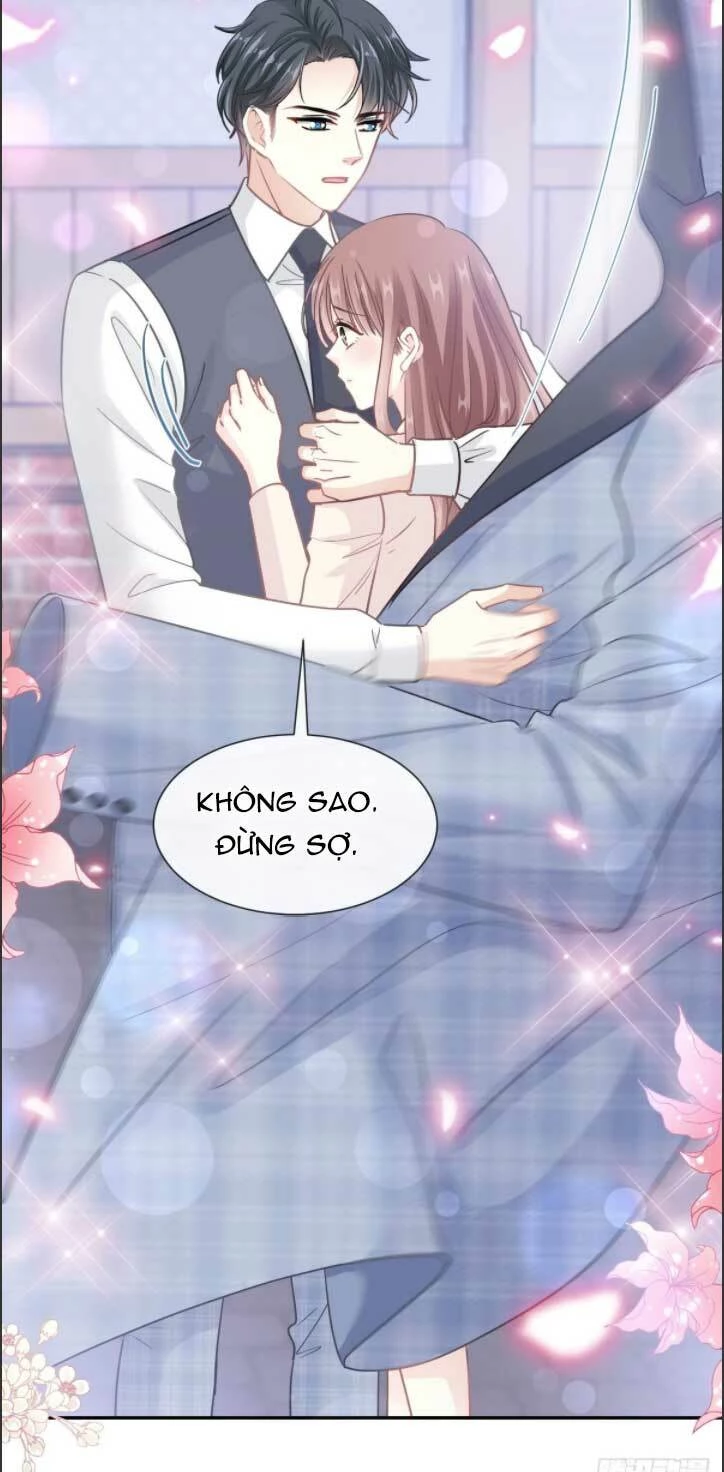 Bá Đạo Tổng Tài Nhẹ Nhàng Yêu Chapter 213 - 26