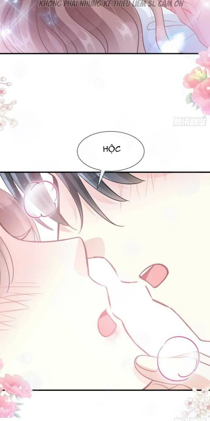 Bá Đạo Tổng Tài Nhẹ Nhàng Yêu Chapter 215 - 15