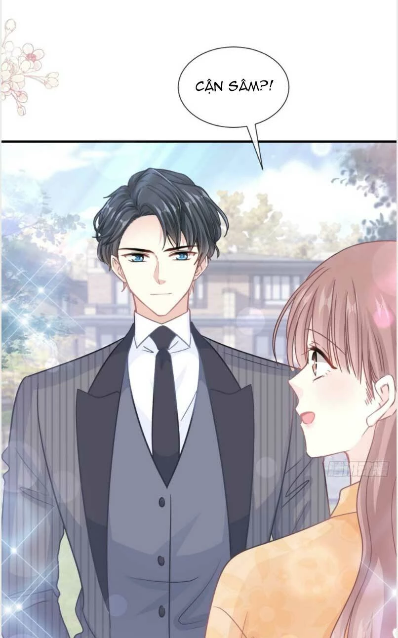 Bá Đạo Tổng Tài Nhẹ Nhàng Yêu Chapter 218 - 17