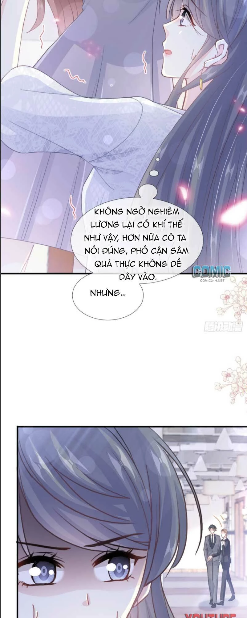 Bá Đạo Tổng Tài Nhẹ Nhàng Yêu Chapter 219 - 16
