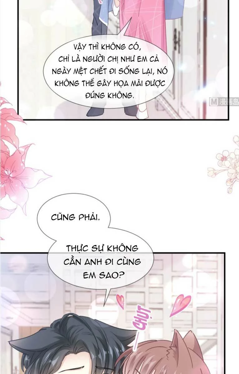 Bá Đạo Tổng Tài Nhẹ Nhàng Yêu Chapter 223 - 9