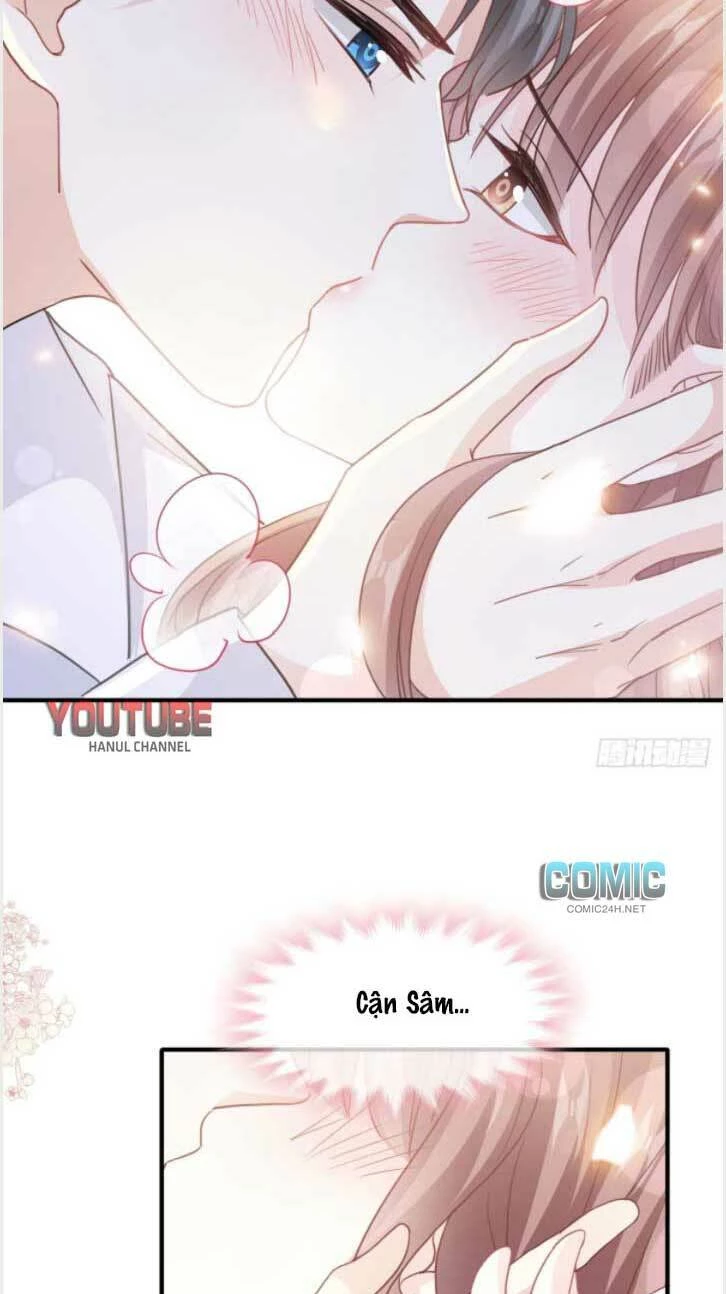 Bá Đạo Tổng Tài Nhẹ Nhàng Yêu Chapter 224.2 - 2