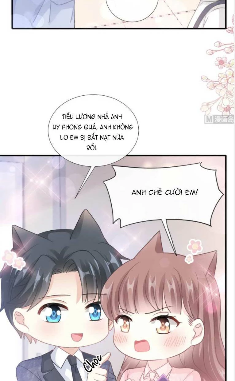 Bá Đạo Tổng Tài Nhẹ Nhàng Yêu Chapter 227 - 5