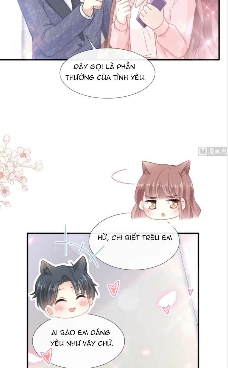 Bá Đạo Tổng Tài Nhẹ Nhàng Yêu Chapter 227 - 6