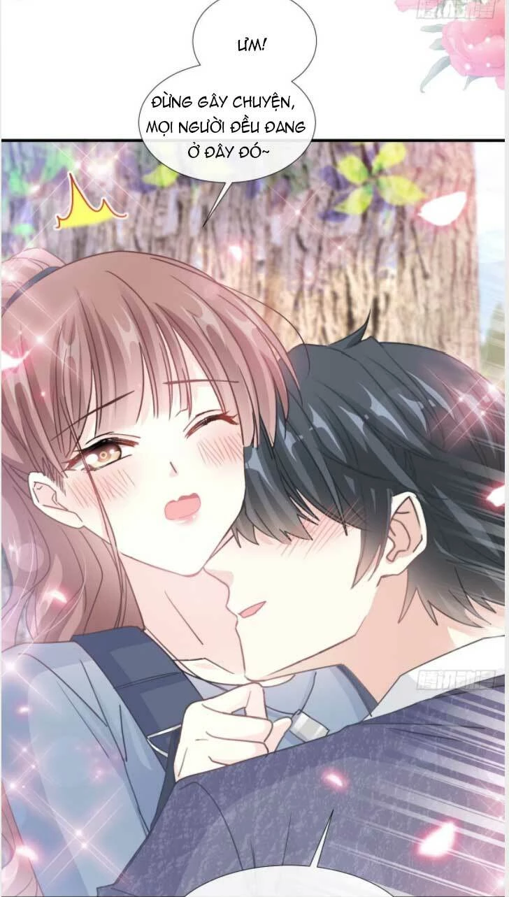 Bá Đạo Tổng Tài Nhẹ Nhàng Yêu Chapter 228.1 - 12