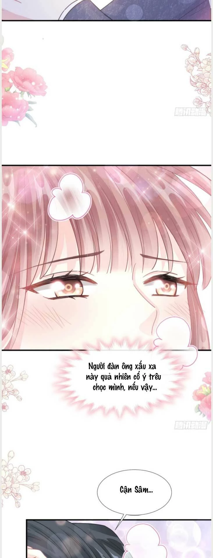 Bá Đạo Tổng Tài Nhẹ Nhàng Yêu Chapter 228.2 - 5