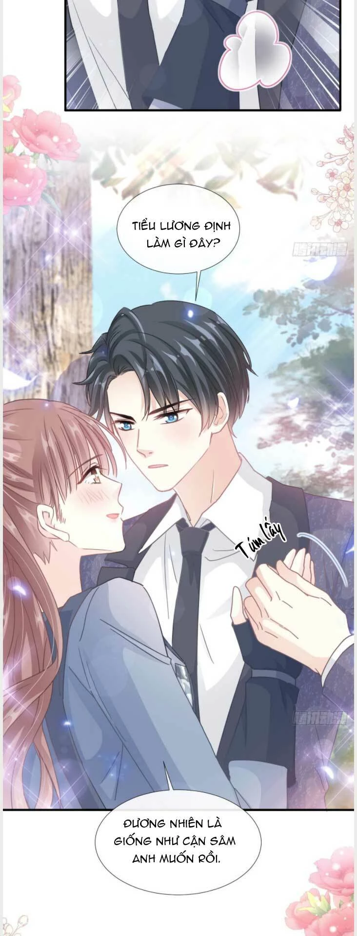 Bá Đạo Tổng Tài Nhẹ Nhàng Yêu Chapter 228.2 - 8