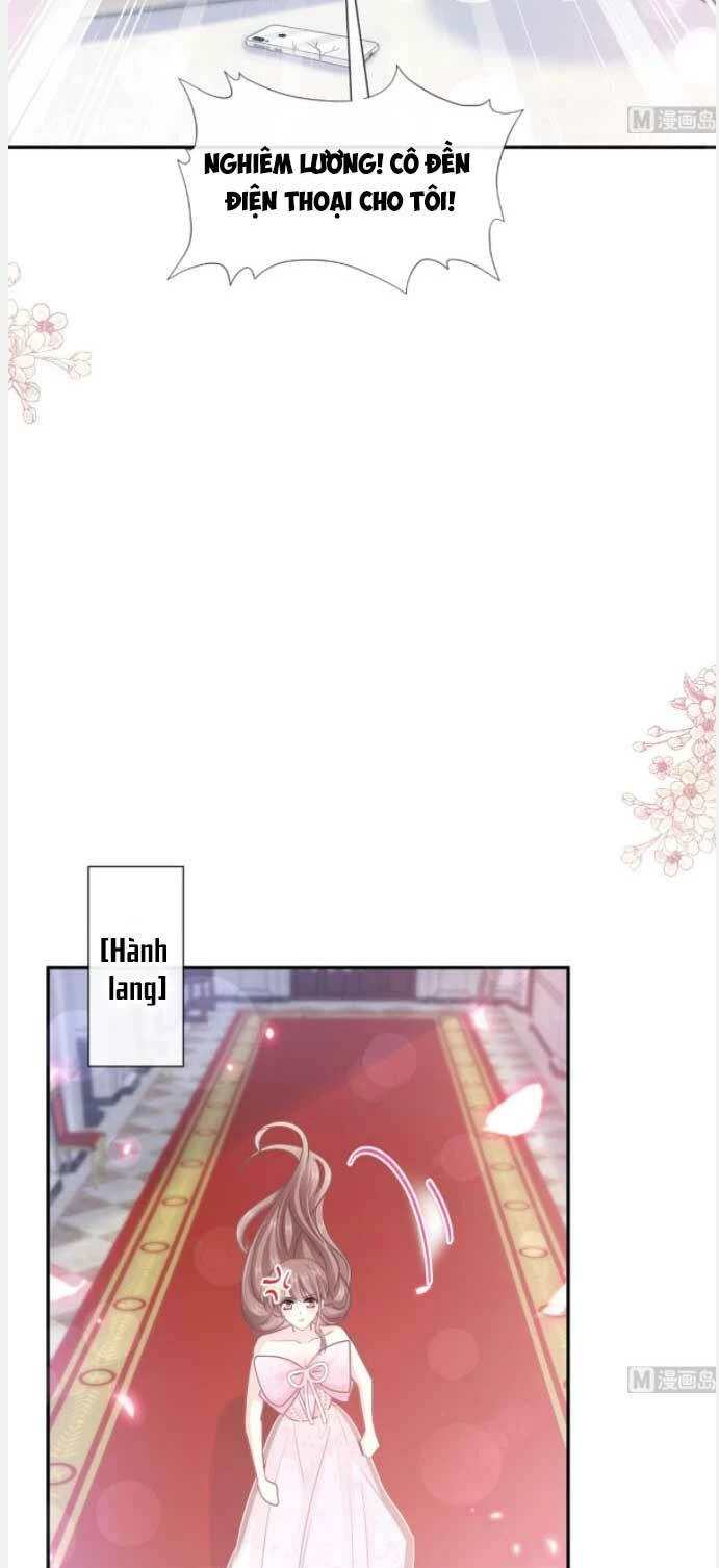 Bá Đạo Tổng Tài Nhẹ Nhàng Yêu Chapter 232 - 18