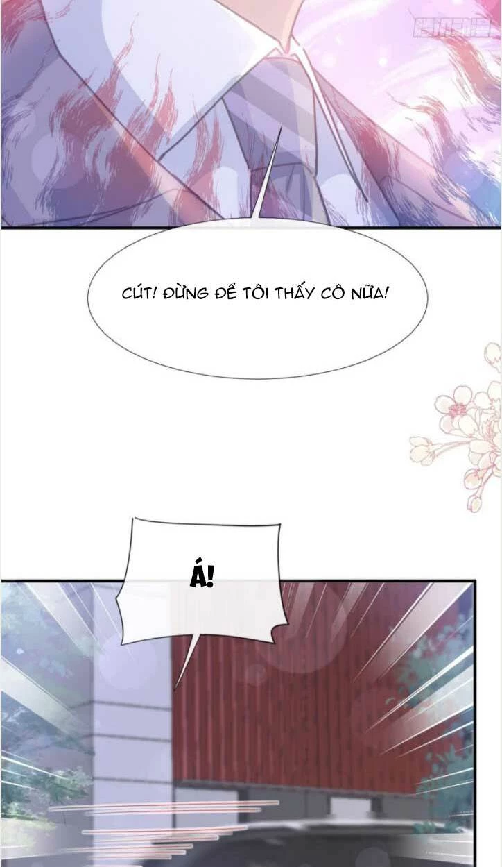 Bá Đạo Tổng Tài Nhẹ Nhàng Yêu Chapter 233 - 11
