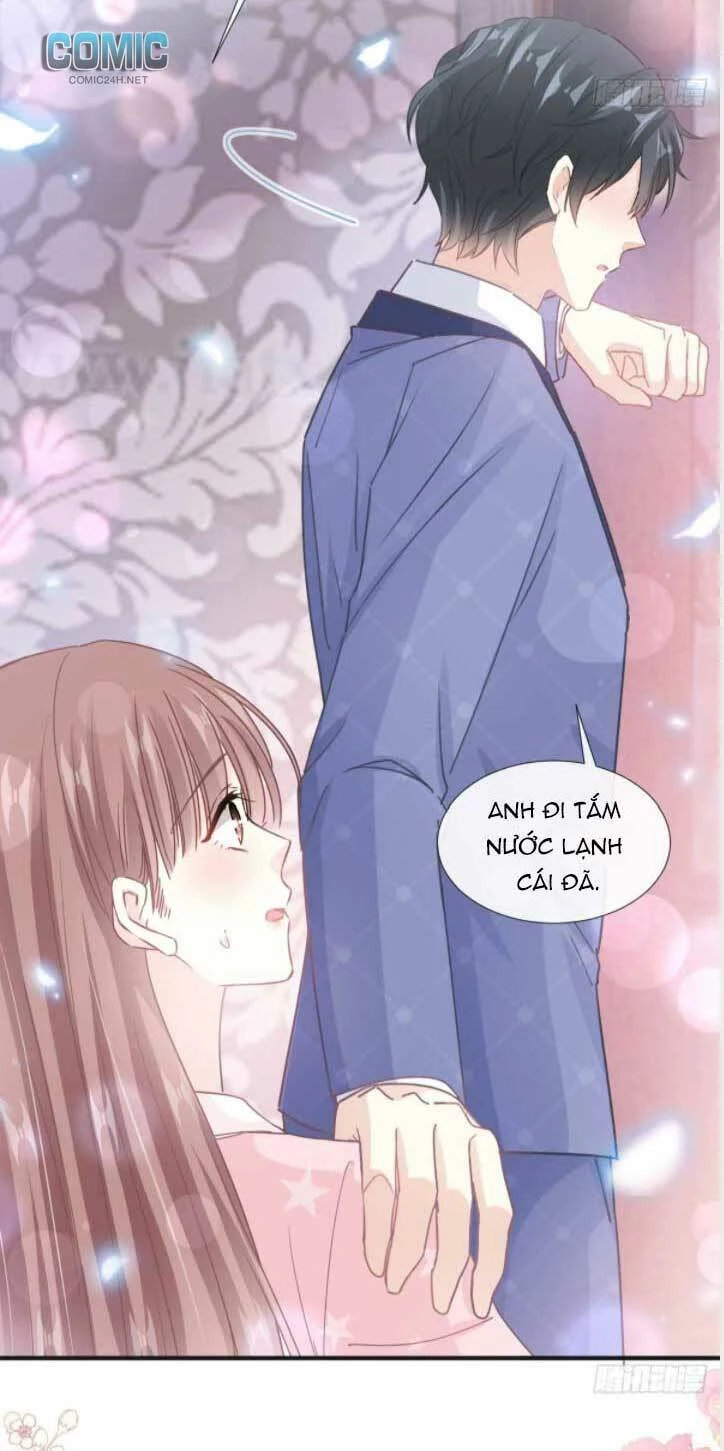 Bá Đạo Tổng Tài Nhẹ Nhàng Yêu Chapter 235 - 15