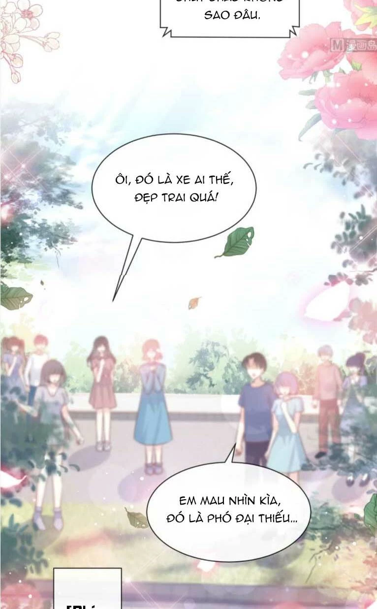Bá Đạo Tổng Tài Nhẹ Nhàng Yêu Chapter 238 - 10