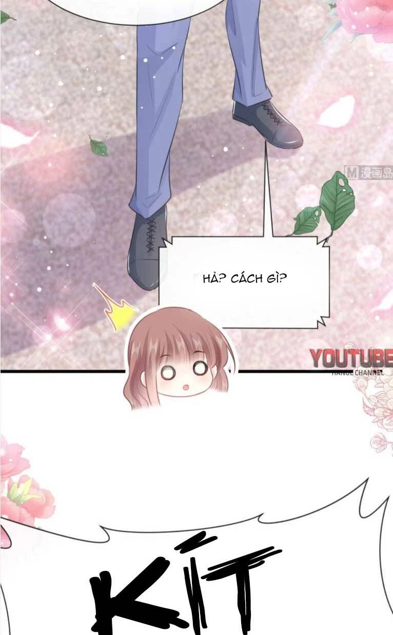 Bá Đạo Tổng Tài Nhẹ Nhàng Yêu Chapter 238 - 12