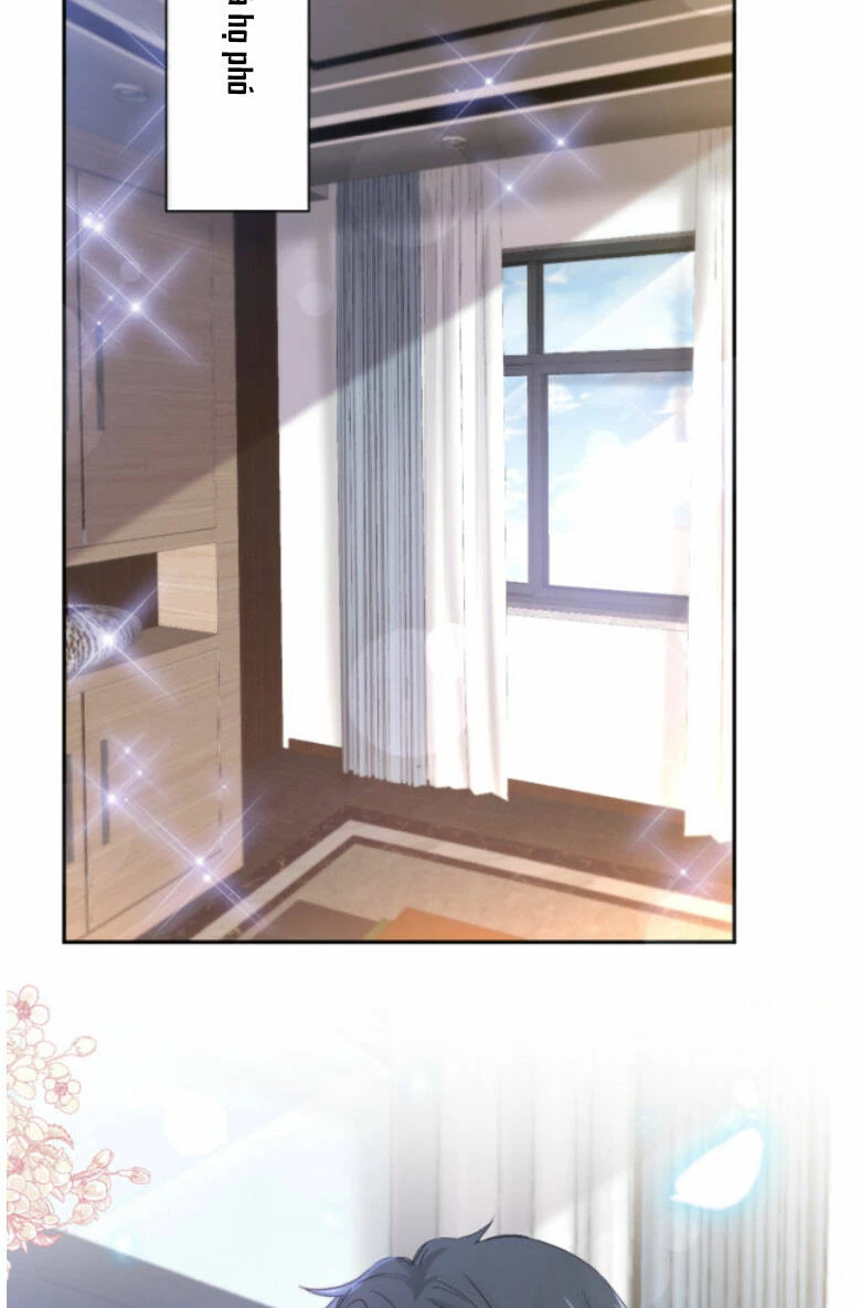Bá Đạo Tổng Tài Nhẹ Nhàng Yêu Chapter 339 - 12