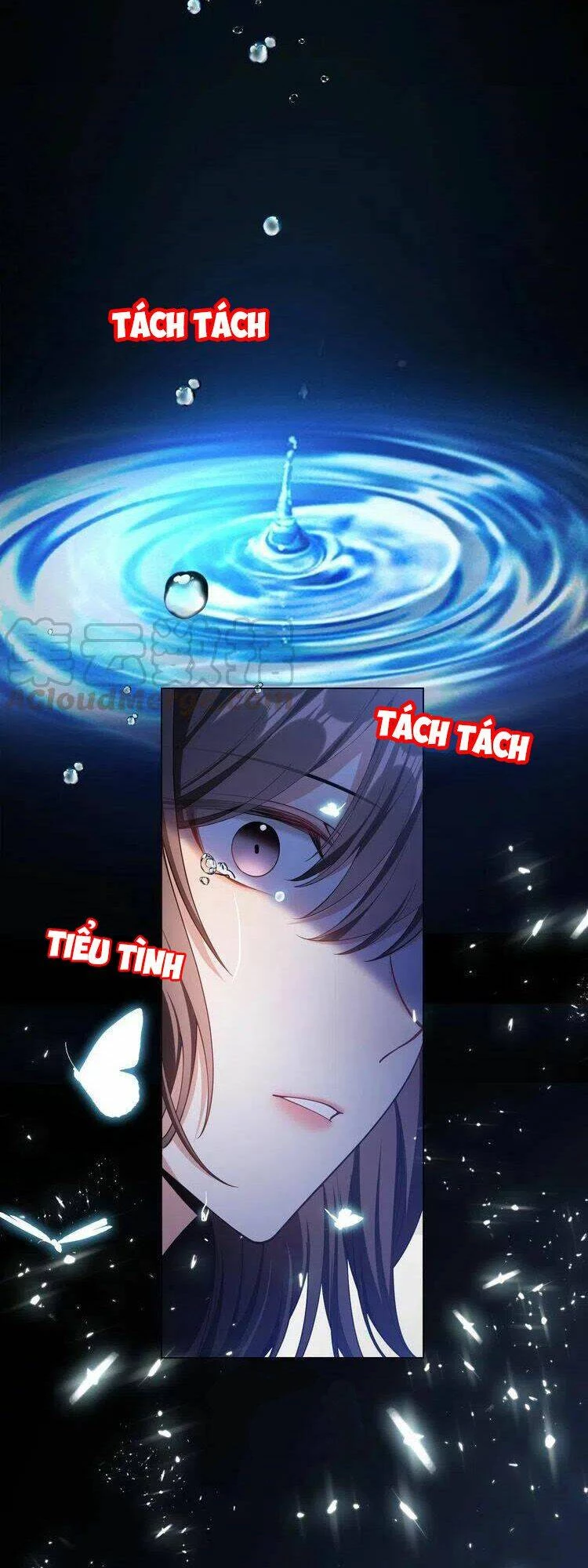 Cô Vợ Nhỏ Nuông Chiều Quá Lại Thành Ác!! Chapter 217 - 7