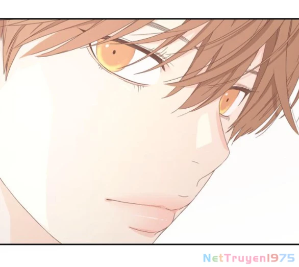 Sam Yi Tái Sinh Chapter 14.2 - 31