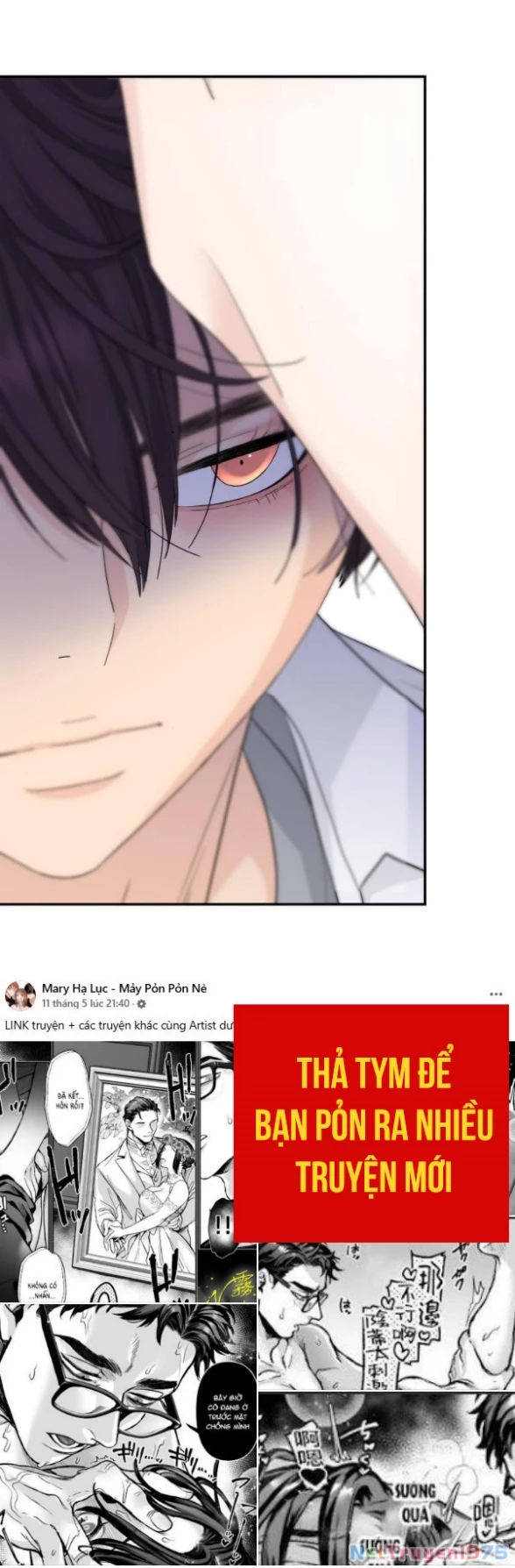 Sam Yi Tái Sinh Chapter 49.1 - 6