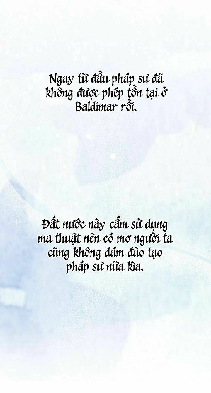 Công Chúa Giả Điên Chapter 8 - 29