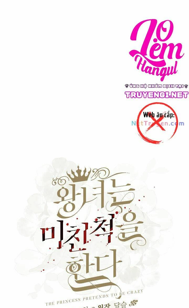 Công Chúa Giả Điên Chapter 25 - 32
