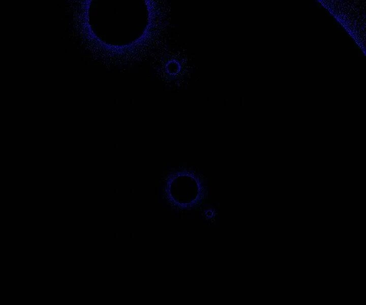 Công Chúa Giả Điên Chapter 48.1 - 16