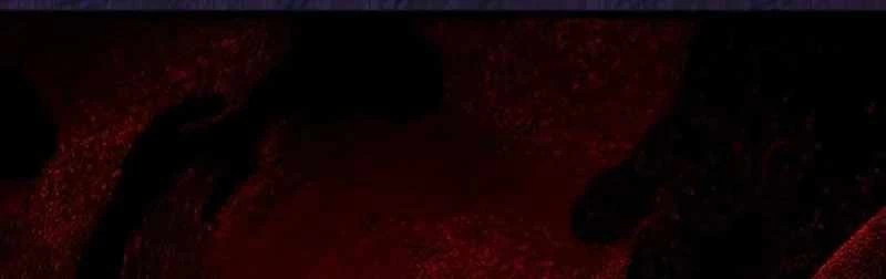 Công Chúa Hắc Viêm LV.99 Chapter 2 - 114