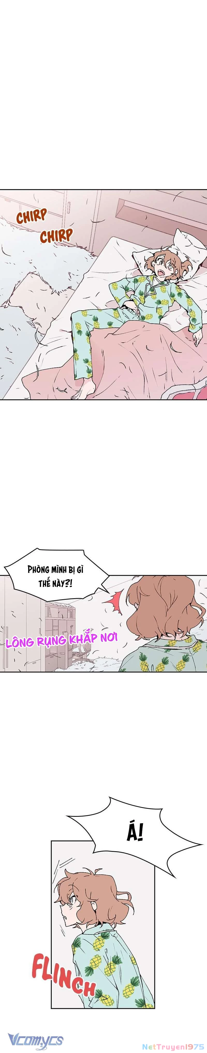 Cô Dâu Của Quái Vật Chapter 35 - 6