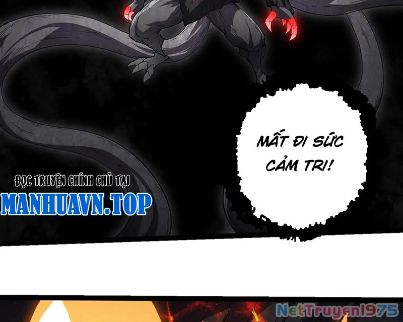 Chuyển Sinh Thành Liễu Đột Biến Chapter 373 - 67