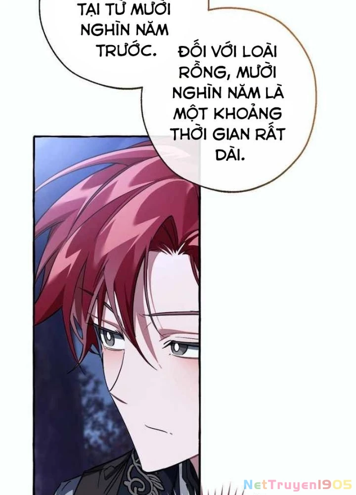 Phế Vật Dòng Dõi Bá Tước Chapter 151 - 105