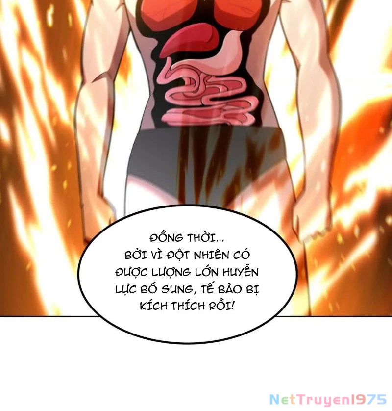 Huyễn Thú Của Ta Có Thể Tiến Hóa Vô Hạn Chapter 29 - 62