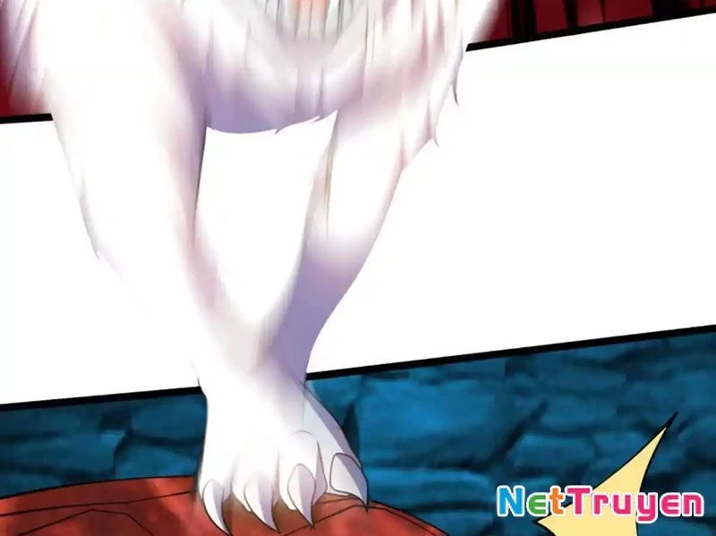 Huyễn Thú Của Ta Có Thể Tiến Hóa Vô Hạn Chapter 31 - 41