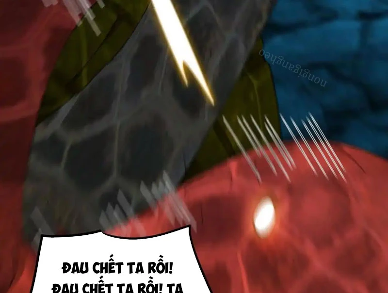 Huyễn Thú Của Ta Có Thể Tiến Hóa Vô Hạn Chapter 31 - 49