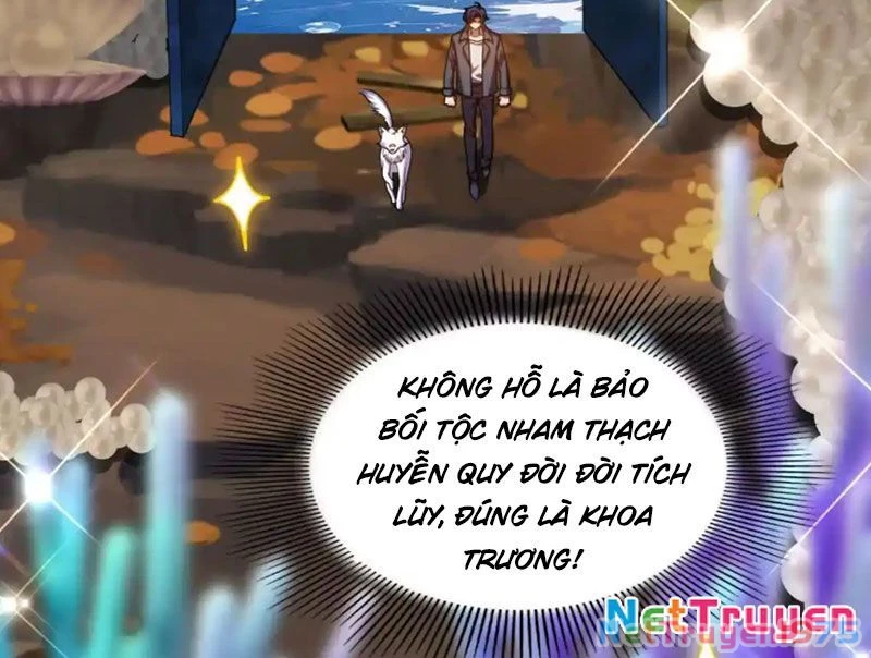 Huyễn Thú Của Ta Có Thể Tiến Hóa Vô Hạn Chapter 31 - 96